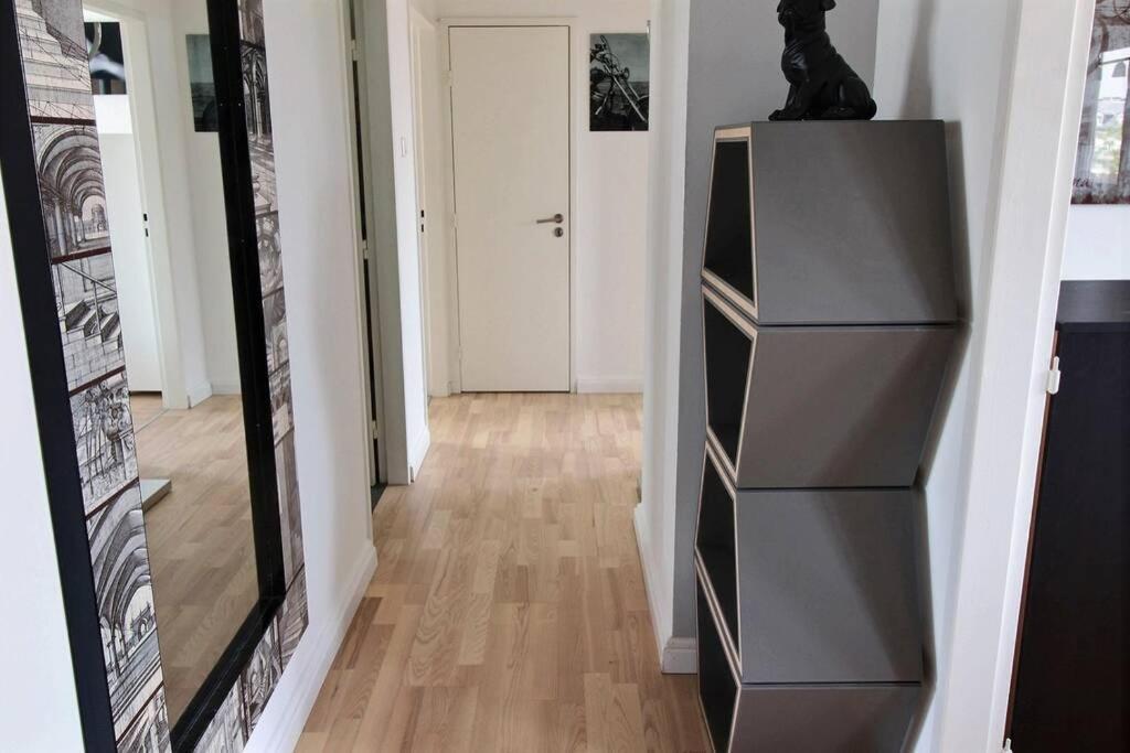 3 Pieces En Plein Centre De Strasbourg Apartment Bagian luar foto