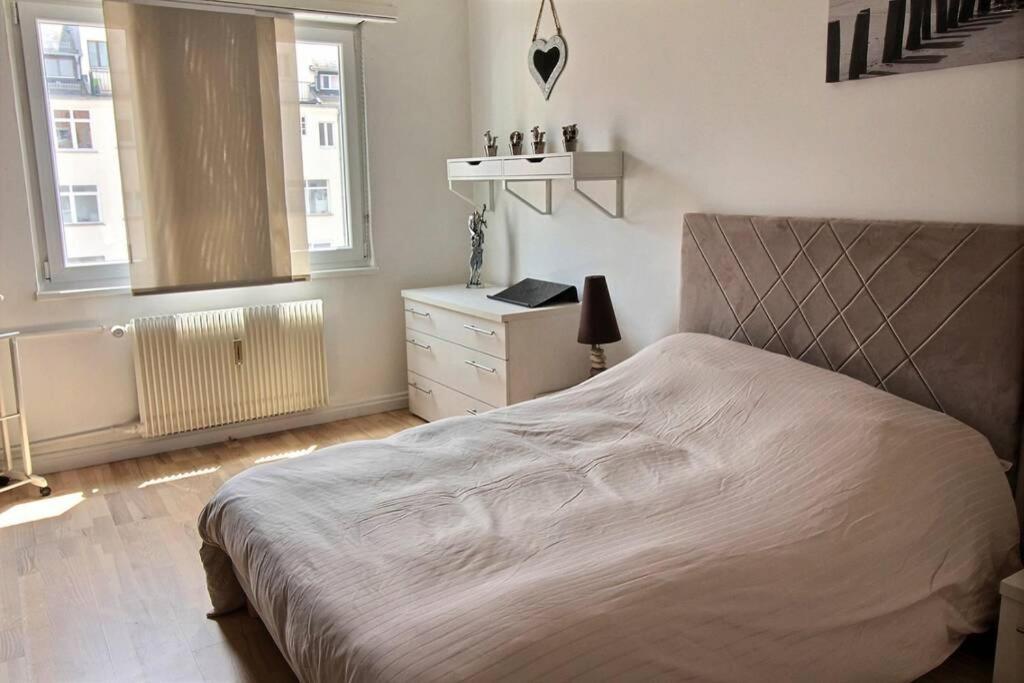3 Pieces En Plein Centre De Strasbourg Apartment Bagian luar foto